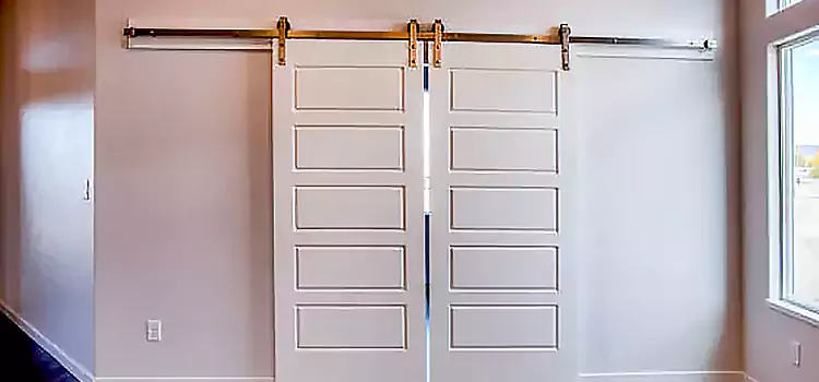 Glass Barn Door with Installation Hardware Kit Joliette