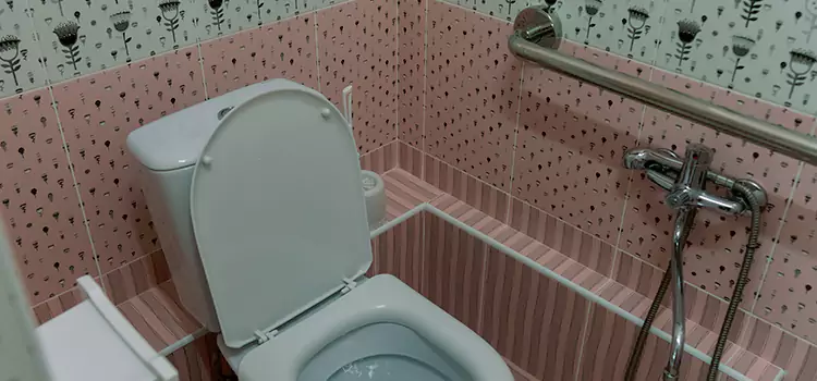 Meeting Diverse Needs With Accessible Restroom Solutions in Joliette, QC
